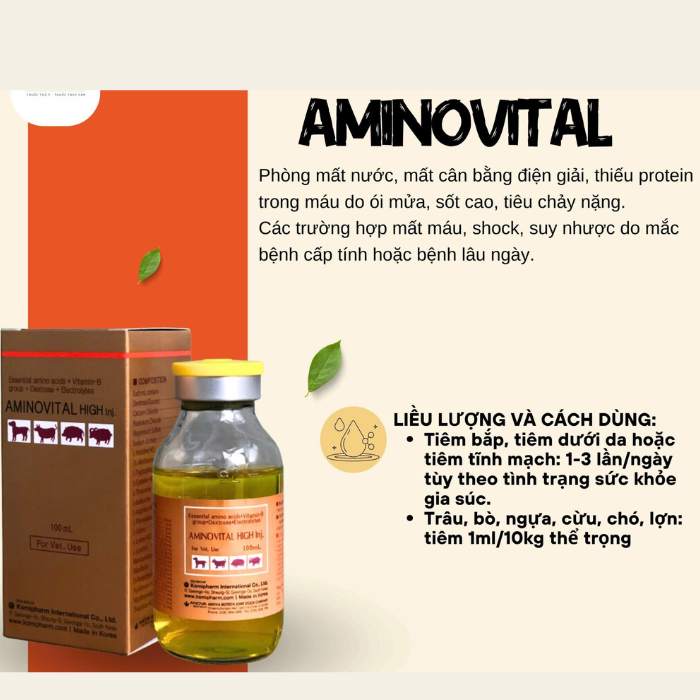 AMINOVITAL